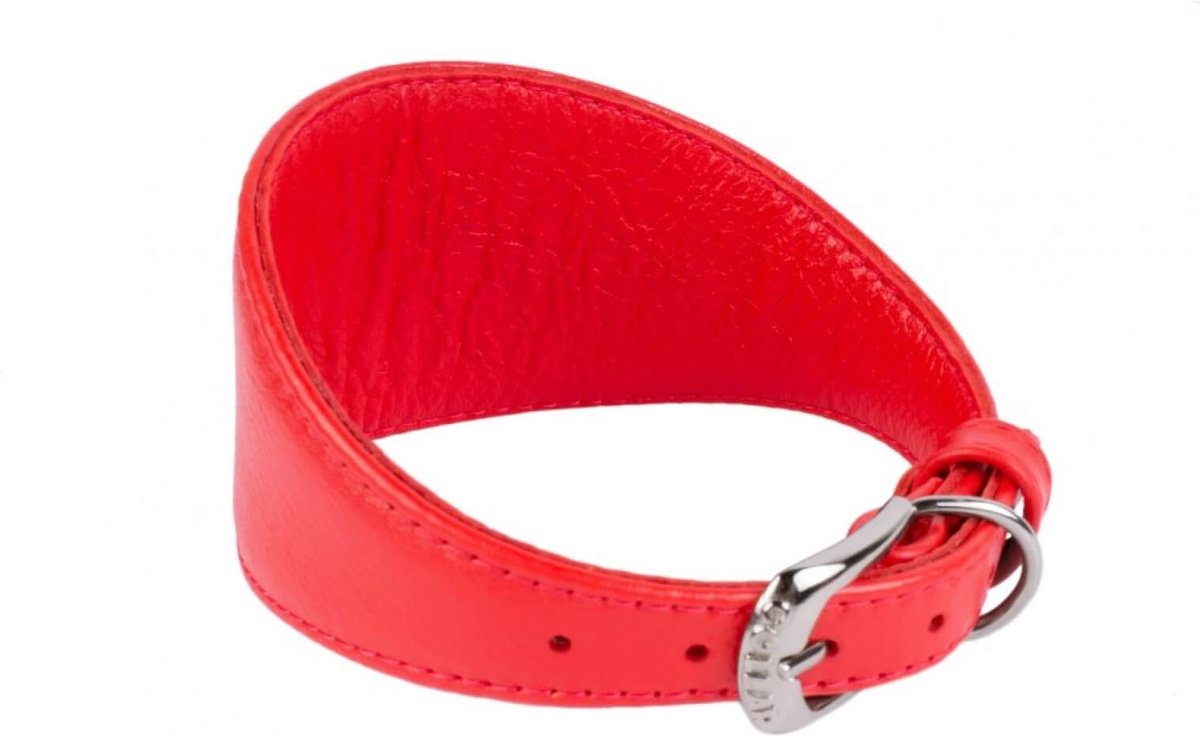 WAUDOG Glamour Halsband Windhond - Italiaans leder - Rood - S - Nekomtrek: 34 - 40 cm (GELIEVE ALVORENS BESTELLEN OPMETEN)