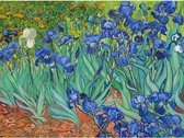 Peinture de diamants Iris de Vincent van Gogh Peinture de diamants 30x40cm. DP Couverture totale - Pierres carrées - Peinture au diamant avec outils