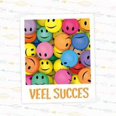 Veel Succes (Vak 16)