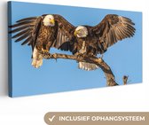 Canvas schilderij - Vogel - Takken - Arend - Roofvogels - Lucht - Schilderijen op canvas - Foto op canvas - 40x20 cm - Wanddecoratie - Slaapkamer