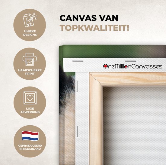 OneMillionCanvasses - Canvas - Panda - Steen - Natuur - Muurdecoratie - 20x40 cm - Canvas schilderij - Canvas doek