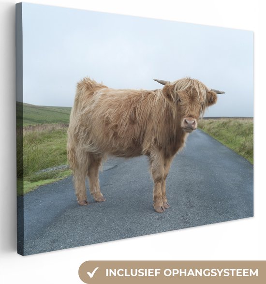 Tableau sur toile Scottish Highlander - Route - Herbe - 40x30 cm - Décoration murale