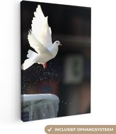 Tableau sur Duif Colombe - Vogel - Wit - 80x120 cm - Décoration murale