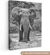 OneMillionCanvasses - Canvas - Olifant - Zwart-wit - Slagtanden - Grote oren - Kamer decoratie - Canvas doek - 120x160 cm