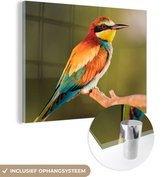 MuchoWow® Glasschilderij 80x60 cm - Schilderij acrylglas - Vogels - Bijeneter - Regenboog - Dieren - Foto op glas - Schilderijen