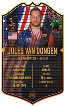 Ultimate Card Jules van Dongen | 37x25cm