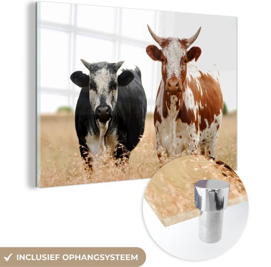 Glasschilderij - Koeien - Afrikaans - Natuur - Plexiglas Schilderijen
