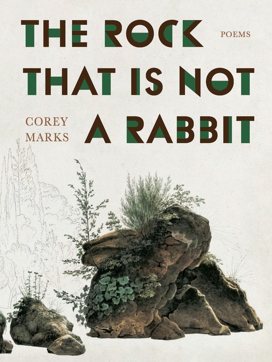Pitt Poetry Series - Rock That Is Not a Rabbit, The