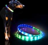 Collier pour chien LED rechargeable via TypeC, collier lumineux multicolore super lumineux, chaîne de sécurité lumineuse résistante aux intempéries pour promenades nocturnes, coupé à la taille pour Chiens, couleur bleue