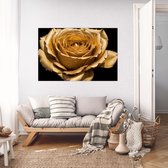 De Muurdecoratie - Glasschilderij - Gouden Roos Met Waterdruppels - Plexiglas Schilderij Luxe - Natuur - Bloemen - 150x100 cm - Muurdecoratie Slaapkamer - Kantoor Decoratie