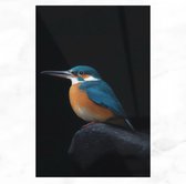 De Muurdecoratie - Vogel Schilderij - Kunst - Foto Op Glas - Vogels - Dieren - Woonkamer Schilderijen - 60x90 cm - Wanddecoratie