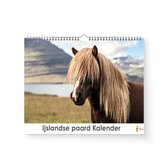 XL 2024 Kalender - Jaarkalender - Ijslandse paard