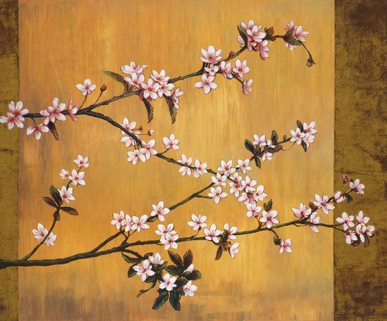 Kunstdruk Erin Lange - Cherry Blossoms 60x50cm