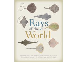 Omslag van Rays of the World
