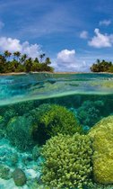 Fotobehang - Coral Reef 150x250cm - Vliesbehang