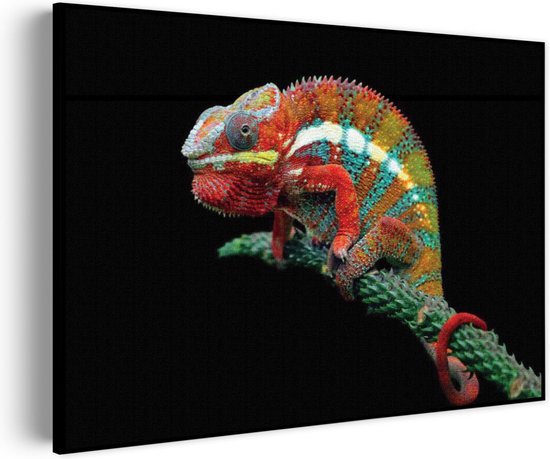 Akoestisch Schilderij De Kameleon Zittend Op Plant Rechthoek Horizontaal Basic M (85 X 60 CM) - Akoestisch paneel - Akoestische Panelen - Akoestische wanddecoratie - Akoestisch wandpaneel