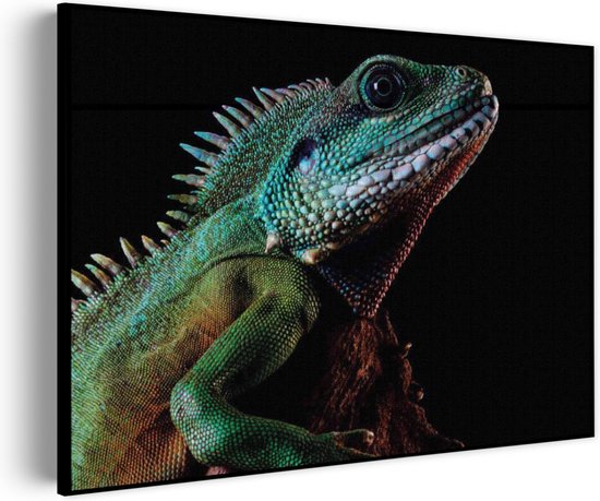 Akoestisch Schilderij De Groene Kameleon Rechthoek Horizontaal Basic M (85 X 60 CM) - Akoestisch paneel - Akoestische Panelen - Akoestische wanddecoratie - Akoestisch wandpaneel