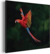 Akoestisch Schilderij Vliegende Ara Vogel Vierkant Basic XXL (140 X 140 CM) - Akoestisch paneel - Akoestische Panelen - Akoestische wanddecoratie - Akoestisch wandpaneel