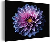 Akoestisch Schilderij Paarse Dahlia Rechthoek Horizontaal Pro M (85 X 60 CM) - Akoestisch paneel - Akoestische Panelen - Akoestische wanddecoratie - Akoestisch wandpaneel