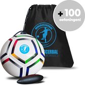 Minisoccerbal bal aan touw - Sense Bal - Voetbal - Smart Ball - Kleine Bal - EK Editie