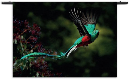 Velours Wandkleed Schitterende Vliegende Quetzal Vogel Rechthoek Horizontaal M (65 X 90 CM) - Wandkleden - Met roedes