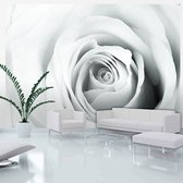 Fotobehangkoning - Behang - Vliesbehang - Fotobehang Roos - Rose charade - 150 x 105 cm