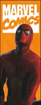 Fotobehang - Spider-Man Comic 100x250cm - Vliesbehang