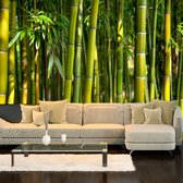 Fotobehangkoning - Behang - Vliesbehang - Fotobehang Bamboe - Oriental Garden - 150 x 105 cm