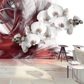 Fotobehangkoning - Behang - Vliesbehang - Fotobehang - Orchid in red - Orchidee - Orchideeën Kunst - 300 x 210 cm