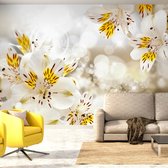 Fotobehangkoning - Behang - Vliesbehang - Fotobehang - Sunny Alstroemeria - Sprankelende Bloemen - 150 x 105 cm