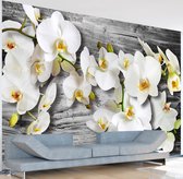 Fotobehangkoning - Behang - Vliesbehang - Fotobehang - Callous orchids III - Orchideeën - Bloemen - 150 x 105 cm