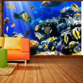 Fotobehangkoning - Behang - Vliesbehang - Fotobehang - Underwater adventure - Tropische Vissen - Aquarium - Onderwaterwereld - 200 x 140 cm