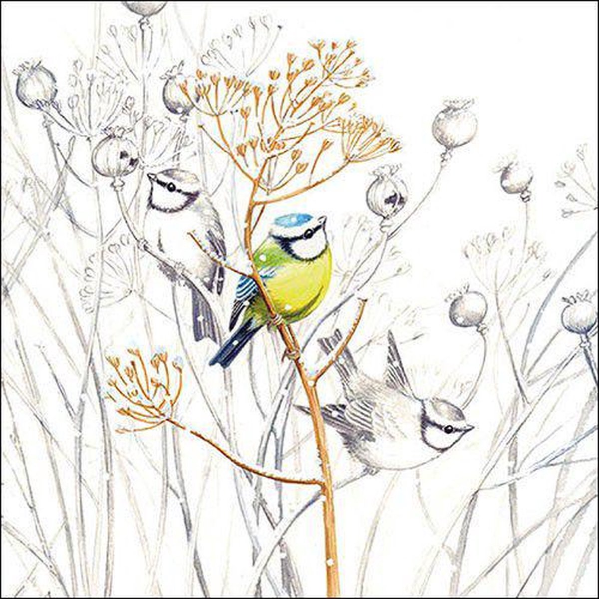 CraftEmotions servetten 5st - Koolmeesje 33x33cm Ambiente 13316705