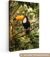 Canvas - Schilderij - Vogel - Toekan - Jungle - Natuur - Schilderijen op canvas - Canvas doek - 80x120 cm - Muurdecoratie - Slaapkamer