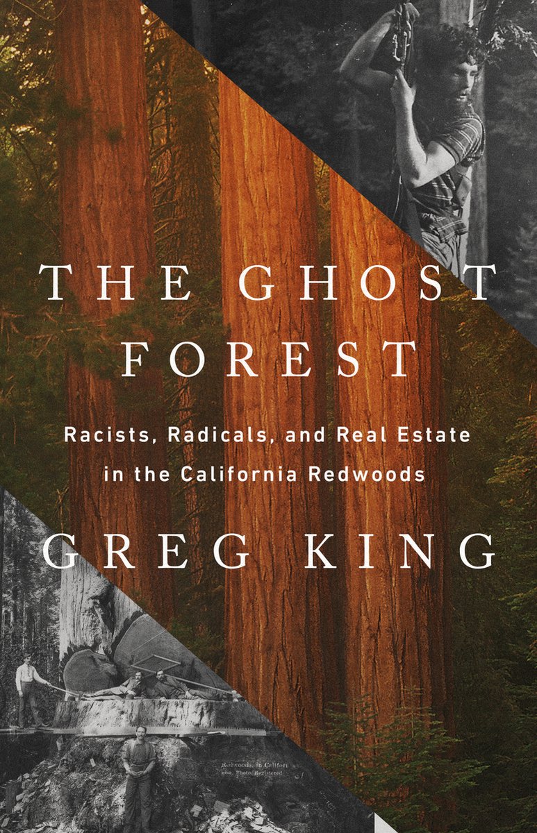 The Ghost Forest - Greg King