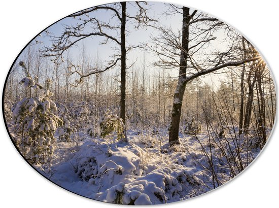 Dibond Ovaal - Landschap - Winter - Bomen - Planten - Sneeuw - Zon - 40x30 cm Foto op Ovaal (Met Ophangsysteem)