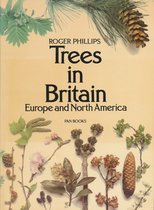 Trees in Britain, Europe and North America