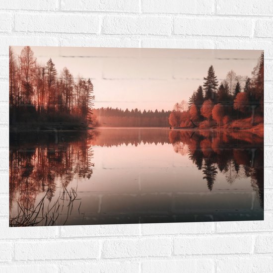 Muursticker - Meer - Bomen - Bossen - Zonsondergang - Kleuren - 80x60 cm Foto op Muursticker