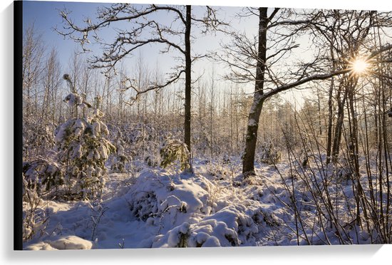 Canvas - Landschap - Winter - Bomen - Planten - Sneeuw - Zon - 90x60 cm Foto op Canvas Schilderij (Wanddecoratie op Canvas)