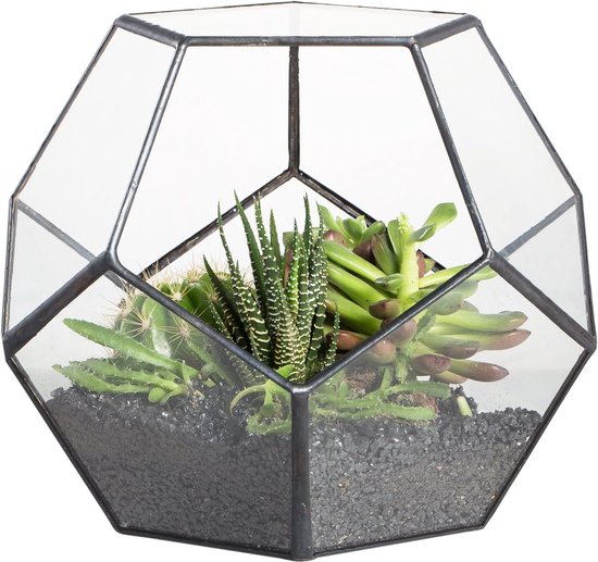 Pot de fleurs fait main en verre dodécaèdre pentagonal transparent,  terrarium