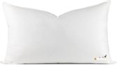 Goozzy® donzen hoofdkussen - 100% dons - premium hoofdkussen - percal katoen tijk - 60x70cm