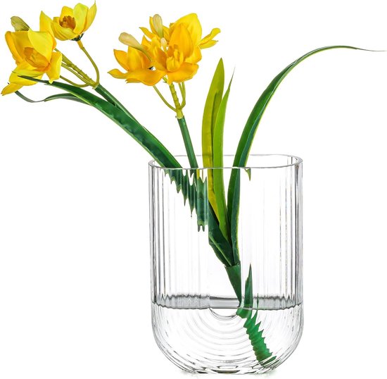 Moderne glazen vaas voor tulpen, doorzichtige geribbelde tulpenvaas, decoratie, 18 cm hoog, U-vormige boekenvaas, esthetische vaas voor tafeldecoratie, woonkamer, kantoor, thuis, slaapkamer,