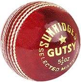 Ball de Cricket bronzée SS Gutsy en alun (paquet de 6)