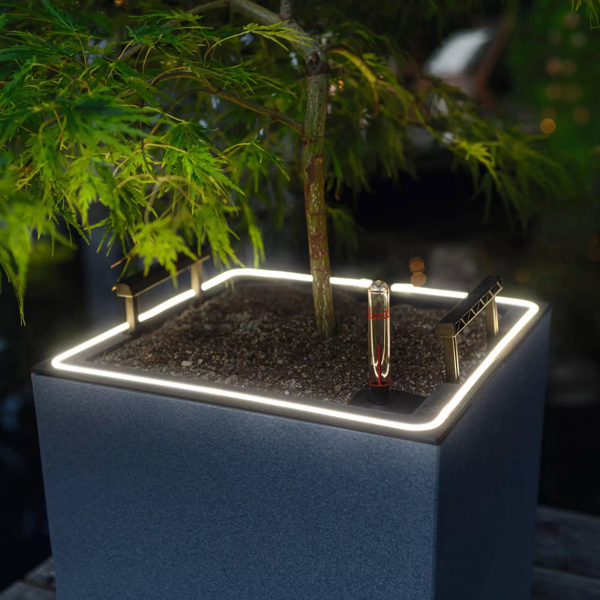Lechuza Canto Stone 30 high LED - Planter