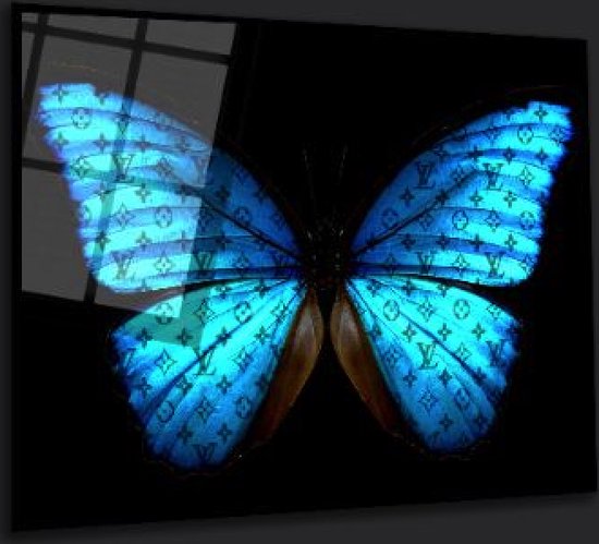 Papillon Blue lv 60x40 plexiglas 5mm