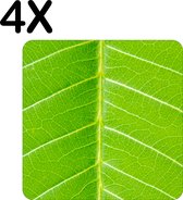 BWK Flexibele Placemat - Close-Up Groen Blad - Plant - Set van 4 Placemats - 50x50 cm - PVC Doek - Afneembaar