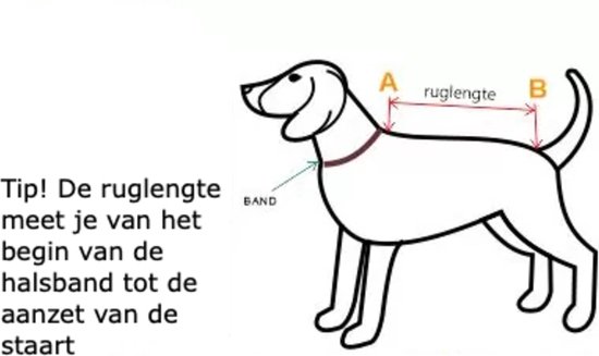 51 DegreesNorth Manteau pour chien - Blouson aviateur - Noir - 38 cm