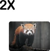BWK Flexibele Placemat - Rode Panda - Dier - Bos - Boomstam - Set van 2 Placemats - 35x25 cm - PVC Doek - Afneembaar