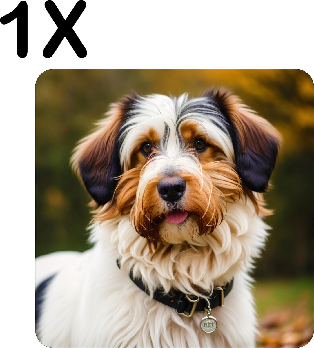 BWK Luxe Placemat - Schattig Hondje in het Park - Set van 1 Placemats - 40x40 cm - 2 mm dik Vinyl - Anti Slip - Afneembaar