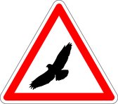 Pas op voor buizerd bord - kunststof 100 mm